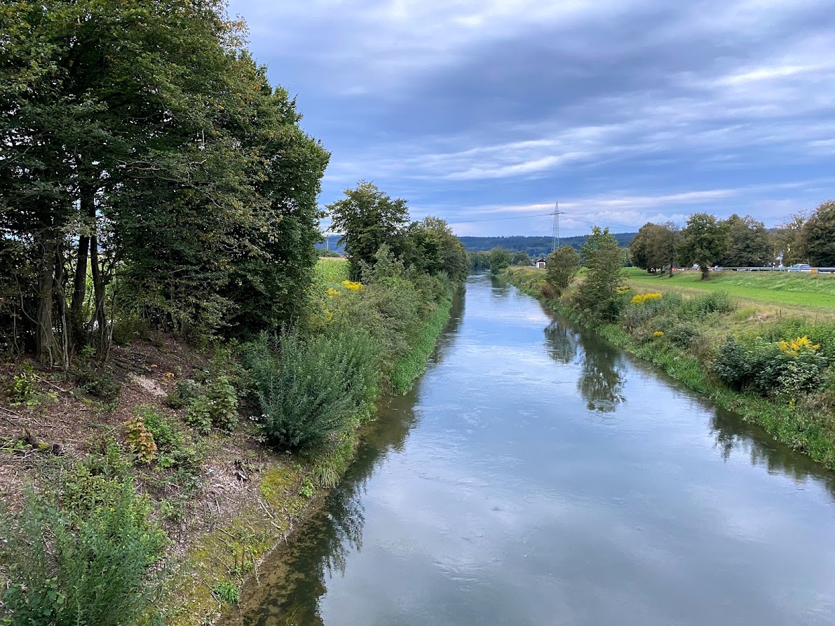 Die Loisach zwischen Wiesen und Auwald
